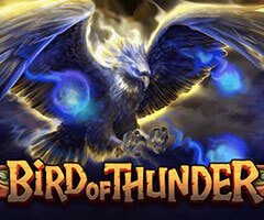 Habanero Bird Of Thunder スロット ゲーム